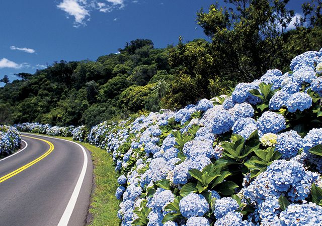 Quanto custa viajar para Gramado