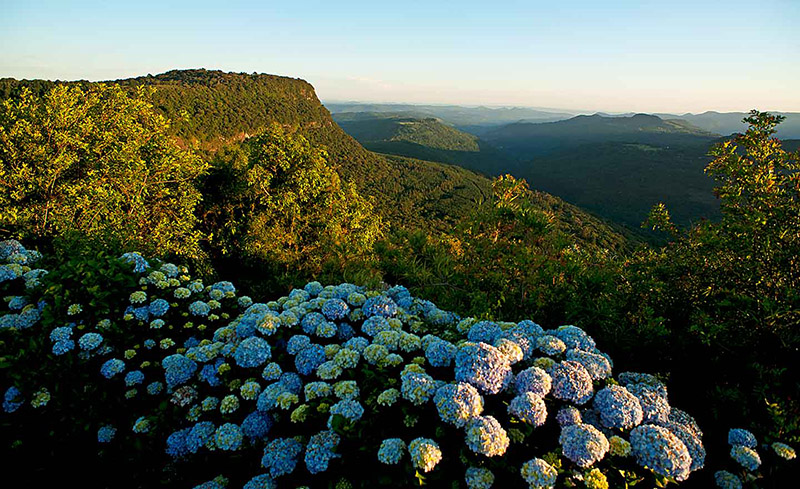 Mirante Laje de Pedra em Canela